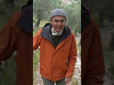 Tepelerdeki Apollo | Ayhan Sicimoğlu #shorts