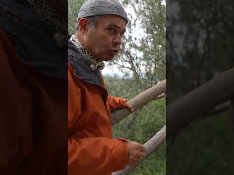 Tarihe Uygun Restorasyon | Ayhan Sicimoğlu #shorts