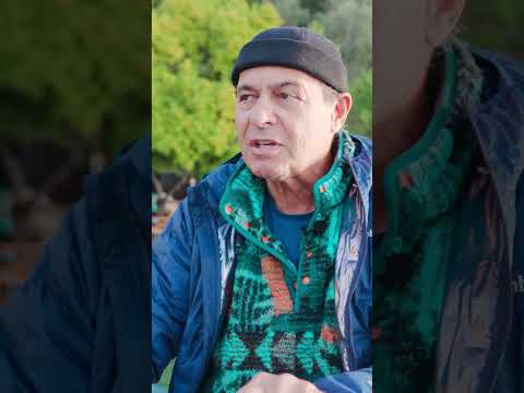 Bedri Rahmi Balığı | Ayhan Sicimoğlu #shorts