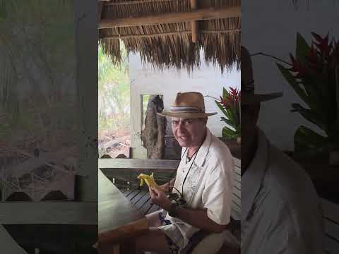 Yemek Onun Da Hakkı | Ayhan Sicimoğlu #shorts