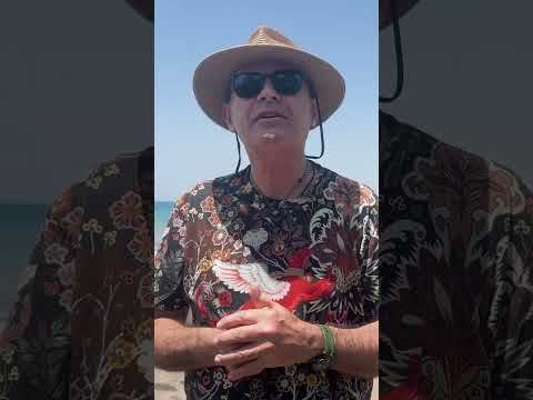 Benden Kurtuluş Yok! | Ayhan Sicimoğlu #shorts