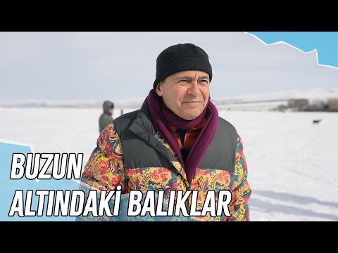 Buzul Balıkçılığı | Ayhan Sicimoğlu
