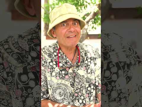 Milo Venüsü Heykeli | Ayhan Sicimoğlu #shorts