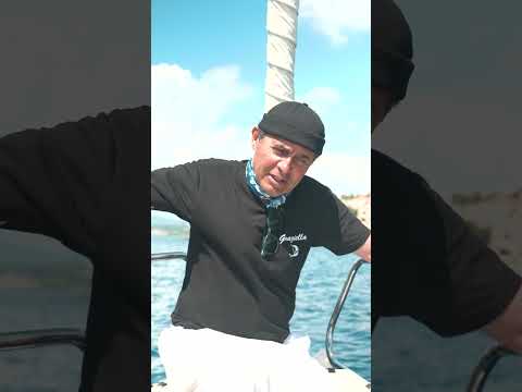 Navarin Faciası | Ayhan Sicimoğlu #shorts