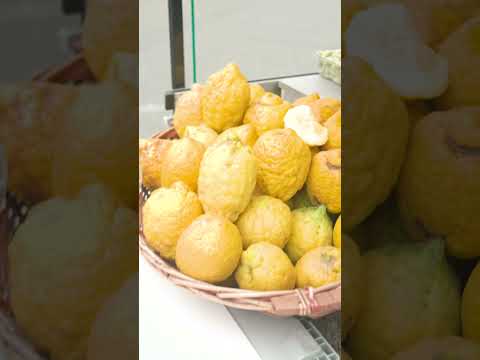 Seninle On Dakika - 7. Bölüm Kısa Tanıtım | Ayhan Sicimoğlu #shorts