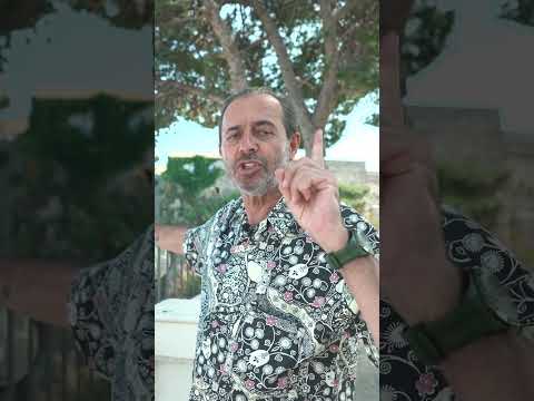 Yurtta Sulh, Cihanda Sulh | Ayhan Sicimoğlu #shorts