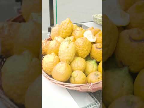 Seninle On Dakika - 7. Bölüm Tanıtım | Ayhan Sicimoğlu #shorts