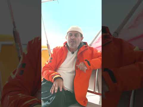 Mazot Bitebilir, ama Peynir Asla! | Ayhan Sicimoğlu #shorts