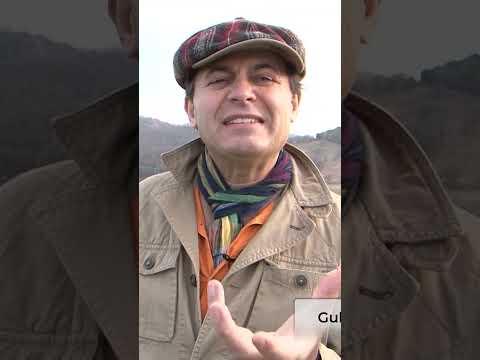 Tabiatın Ahengi 🌳 | Ayhan Sicimoğlu #shorts