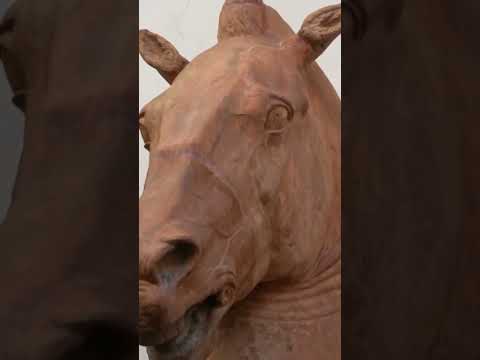 14. Yüzyıldan At Heykeli🐴 | Ayhan Sicimoğlu #shorts