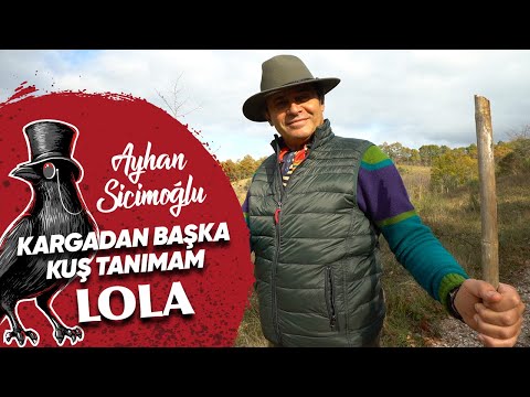 Ayhan Sicimoğlu - LOLA | KARGADAN BAŞKA KUŞ TANIMAM