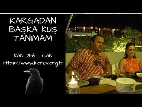 KARGADAN BAŞKA KUŞ TANIMAM - KOREV