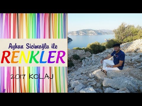 Ayhan Sicimoğlu ile RENKLER - 2017 Kolaj
