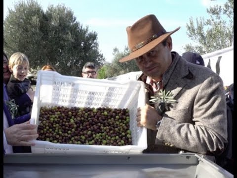 Ayhan Sicimoğlu ile RENKLER - Akhisar