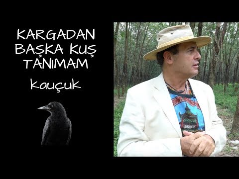 KARGADAN BAŞKA KUŞ TANIMAM - KAUÇUK