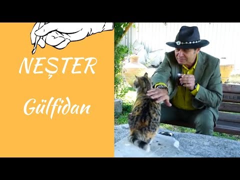 NEŞTER - GÜLFİDAN