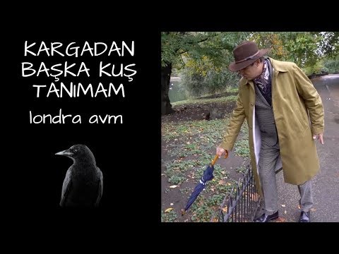 KARGADAN BAŞKA KUŞ TANIMAM - ALTI AVM,ÜSTÜ RESIDENCE =)