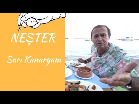 NEŞTER - SARI KANARYAM