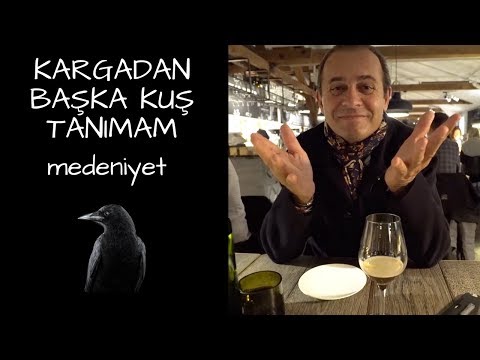 KARGADAN BAŞKA KUŞ TANIMAM - İSVEÇ DEMOKRASİ VE MEDENİYET