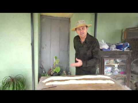 Gastronomi Maceraları - Kıbrıs Tanıtım