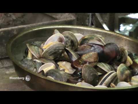Ayhan Sicimoğlu ile RENKLER - Bomontiada - İstanbul