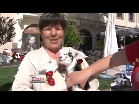 Ayhan Sicimoğlu ile RENKLER - Alaçatı - İzmir