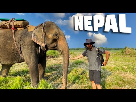 Nepal Ormanlarında Vahşi Hayvan Arıyoruz! #149