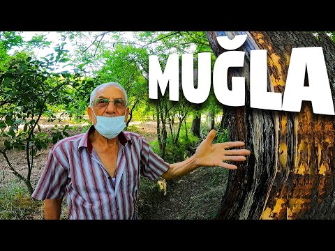 Bisikletle Türkiye Turu: Muğla'nın Yemyeşil Köylerini Geziyorum #129