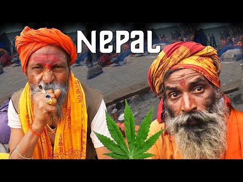 Nepal'de Kenevir Festivali! -Maha Shivaratri #96