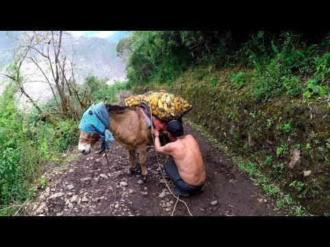 And Dağlarında 1 hafta kamp: İnka Antik Şehri 'Choquequirao' #57