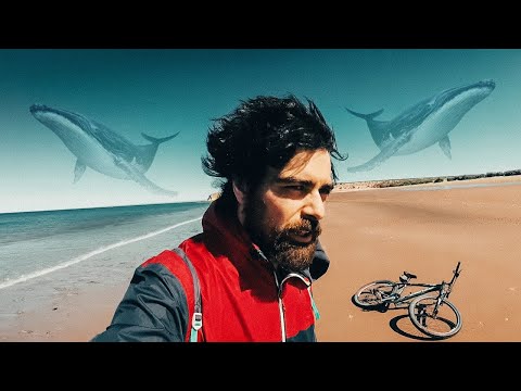 Balina Görmek İçin Harcanan bir Gün! #16