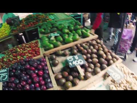 Aleyna Tilki Hayranı Brezilyalı! (Uruguay Vlogu) #10