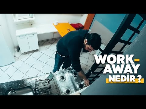 Sao Paulo'da 40 gündür Nasıl Ücretsiz Konaklıyorum? (Workaway Nedir?) #3