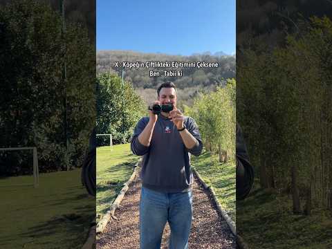 Goofie ve Arkadaşları 🐶♥️