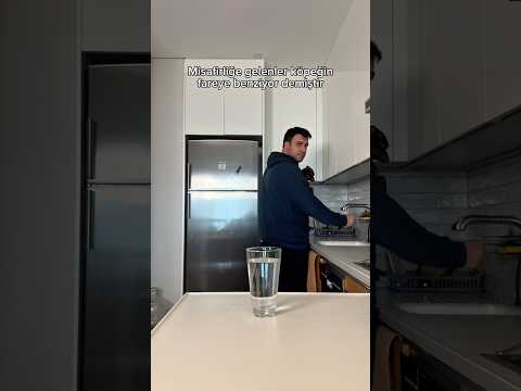 Misafir Köpeğini Fareye Benzetmiştir