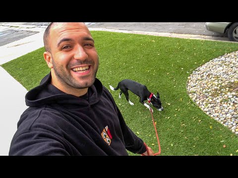 AMERİKA'DA YENİ MESLEĞİM