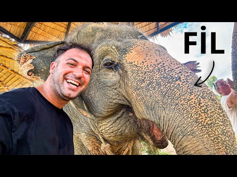 FİL BAKICISI OLDUM! (Hayatımın En Güzel Günüydü)