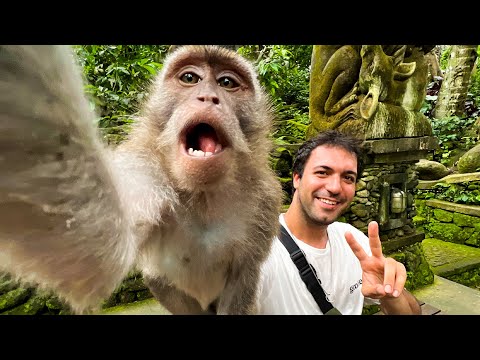 Maymun Resmimi Çekti