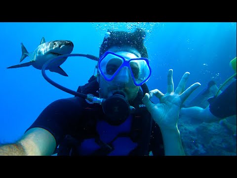 ABOVV!! Fethiye'de İLGİNÇ Dalış ve Gezilecek Yerler (Muğla VLOG)