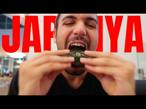 29 SAAT JAPONYA'YA GİDİYORUM!! Singapur Havaalanı EFSANE.. mi? (Gezi VLOG)