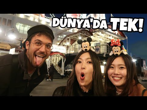 TÜRKİYE'DE YOK!! Japonlar ile Disney SEA (Tokyo VLOG)