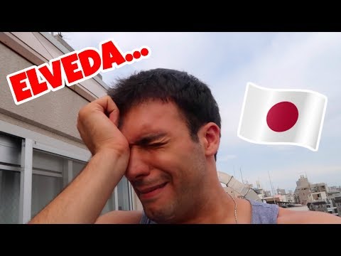 Japonya'da Son Günüm.. | Japonya'dan Türkiye'ye Yolculuk | Japon Hamza