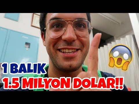 1 Balık 1.5 MİLYON DOLAR!? | Japonya'nın Meşhur Balık Pazarı | Japon Hamza