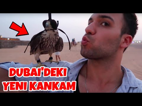 ÇÖLDE BİR GÜN!! (Dubai VLOG) | Japon Hamza