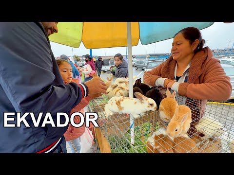 Ekvador'un Otavalo Şehrindeyiz