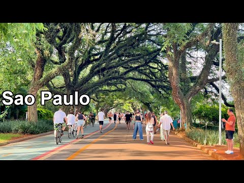 Brezilya'ya Giriş - Sao Paulo Gezimiz ve Şehir Parkları