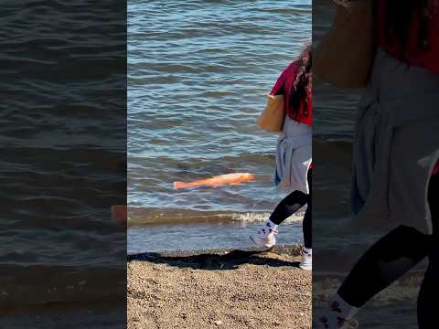 Fuji Dağı ve Yamanaka Gölü😍 #japantravel #mountfuji