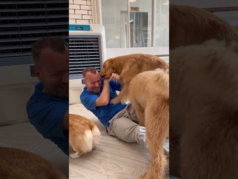 Bangkok’ta bir köpek cafe. Terapi gibi :)