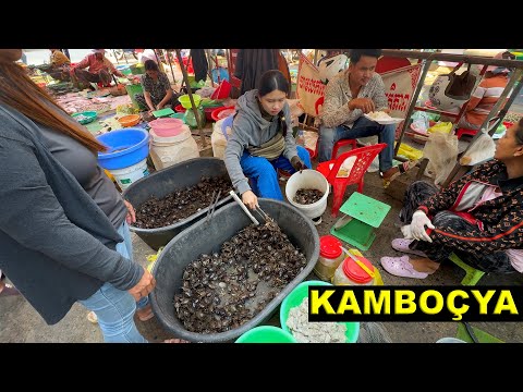 Fare ve Yılan Satılan Pazarlar, Başkent Phnom Penh, Battambang şehirleriyle Kamboçya Gezimiz