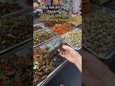 Kamboçya’da neredeyse hareket eden her şey yenilebilir🙈